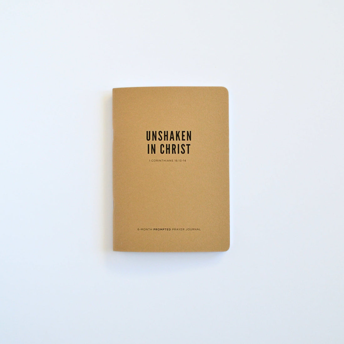 Men's Undated Prayer Journal