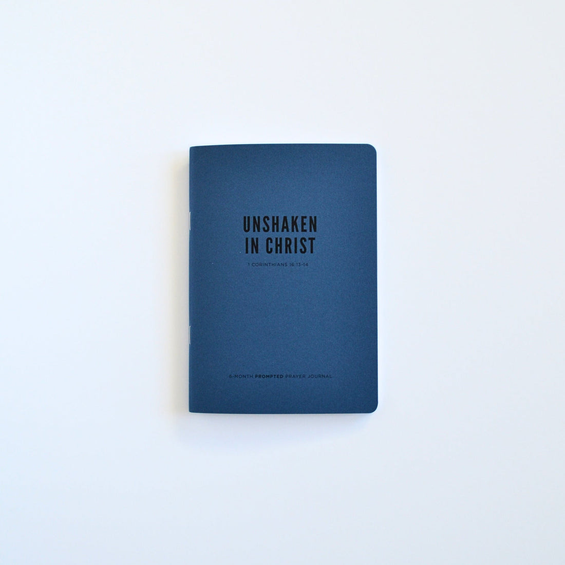 Men's Undated Prayer Journal