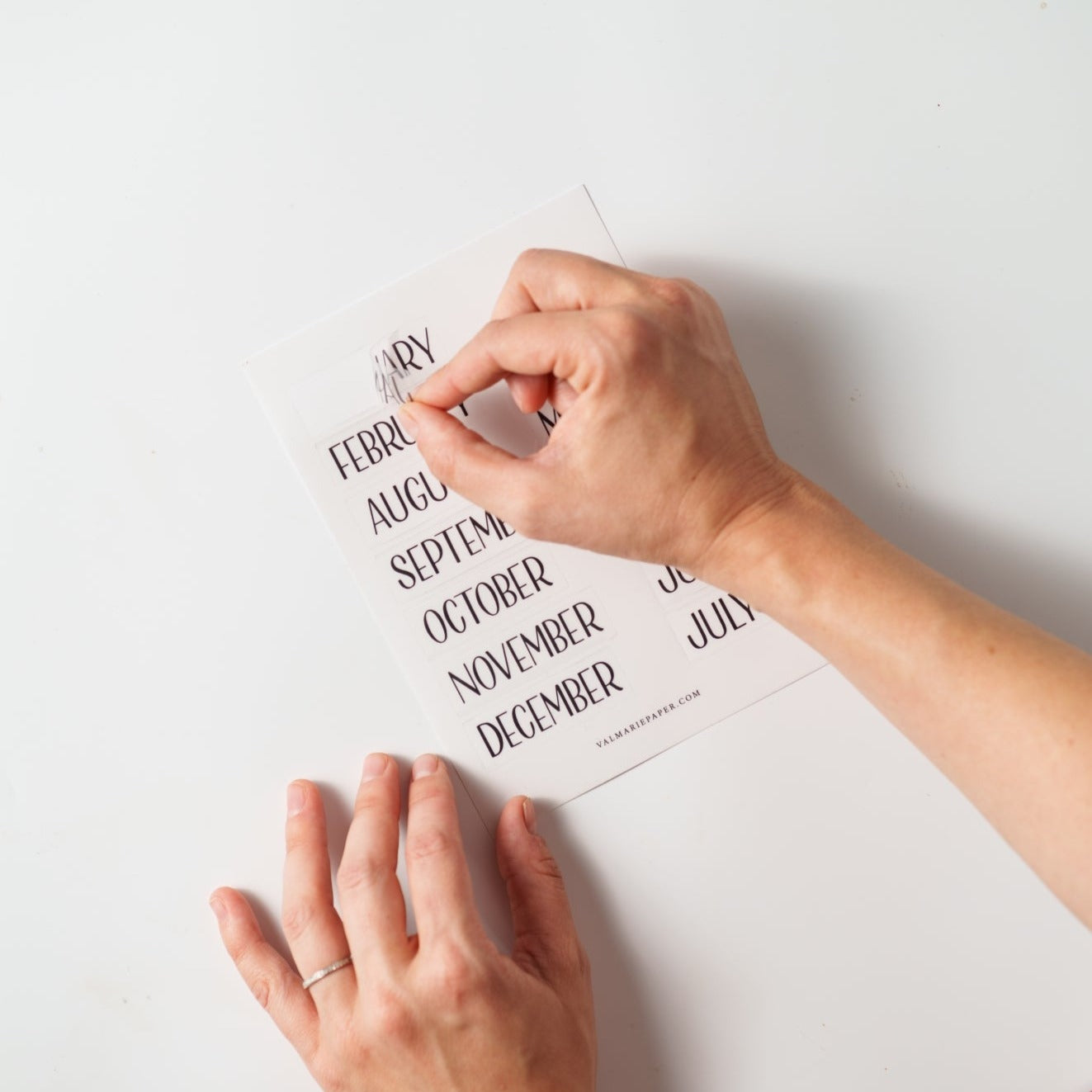 Monthly Sticker Set – Val Marie Paper